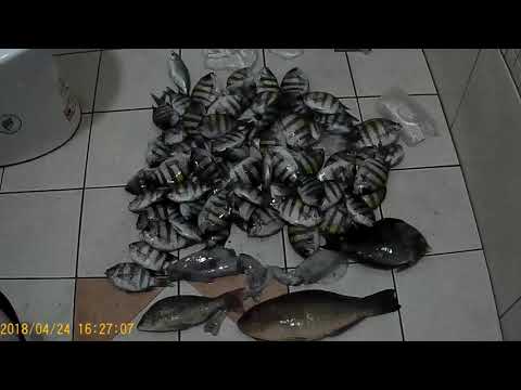 胡炳文