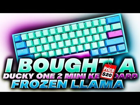 How I Bought a Ducky One 2 Mini For $20 + Keyboard Review (INSANE)