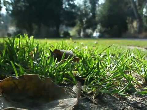 Sirenenprobe E57 Signal:"Warnung"/"Feueralarm"/"Entwarnung"(Weinheim)