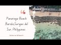 Panaraga Beach, Barobo, Surigao del Sur, Philippines #drone  #beach