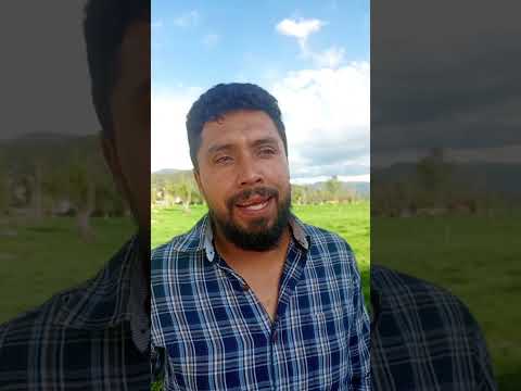 ¡Lo último - Comunidad de Tocogua logró que intervención de la carrera 40 se inicie el 16 de no