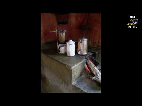 Programa: Caminho da Roça - 03/02/26 - Parte 1 - Apresentação: Paulinho