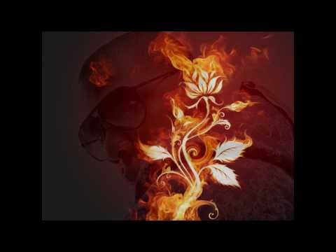 Tribute to Nujabes - BattleCry Remix (Dex'd)