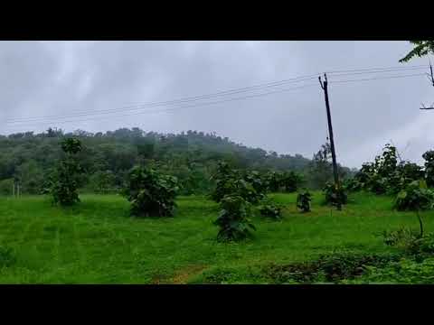 Nature view 🌱🌱🌱😍😍 🌳🌳☁️☁️