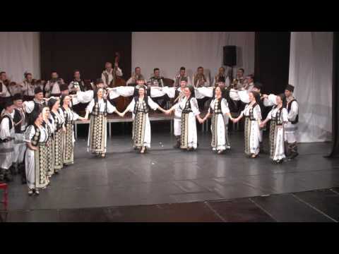 Dans CONTRATIMP - DOINA TIMISULUI