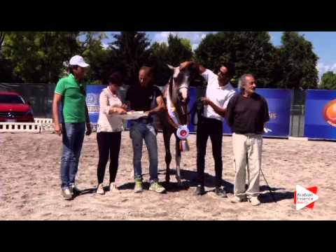 1st place N.30 SG LEGOLAS - Festival FVG 2015 - Junior Males Championship (Class 16)