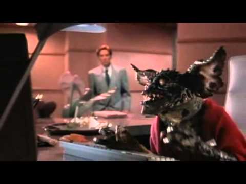 Los Gremlins 2 - Cafe?