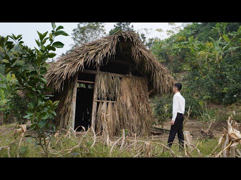 Head of Forestry Department: Rebuilding the lifeline on the impoverished land of the elderly woman