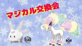 【ポケモンソードシールド】パスワード交換会☆ポニータ＆サニーゴ