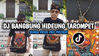 Download lagu DJ BANGBUNG HIDEUNG X TAROMPET ENAKEUN [FYP TIKTOK] ARJUNA PRO PRESENT mp3