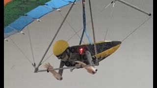 Download lagu BMP JUMBO Articulated RC Pilot Roll/Pitch Range of Motion - 1:4 Scale mp3