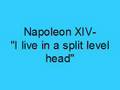 Napoleon XIV- I live in a split level head (Lyrics ...
