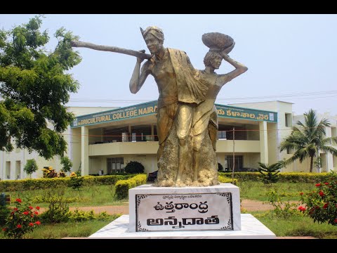 Campus Overview by Alumni