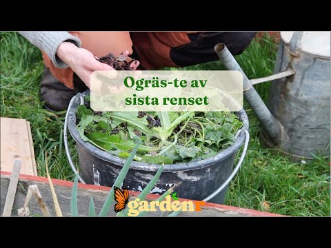 Liquid fertilizer from the last weeding - Gardenhacks by GardenR