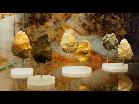 Guided tour through the exhibition 'Doggerland' at the Rijksmuseum van Oudheden, Leiden