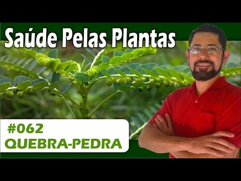 download lagu mp3 mp4 Quebra Pedra, download lagu Quebra Pedra gratis, unduh video klip Quebra Pedra