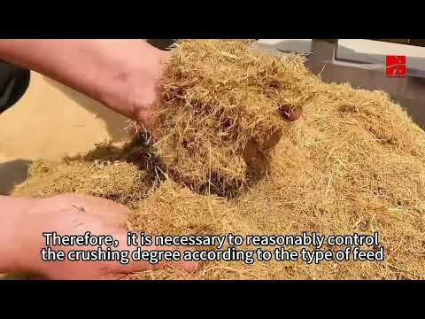 How to process roughage to improve the digestion rate of cattle and sheep?