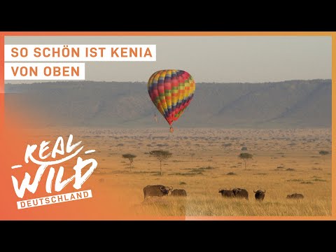 Kenia Safari aus der Luft? | Heißluftballon Doku