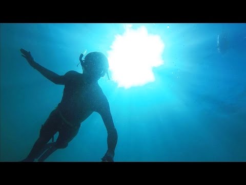Spearfishing & Freediving Adventures Sydney