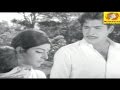 Malayalam Evergreen Film Song Chempakappoonkaavanathile Aabhijathyam K J Yesudas