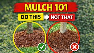 Mulch 101: The RIGHT Type, Depth & Mistakes to Avoid
