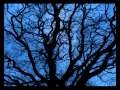 Arcana - Serenity 