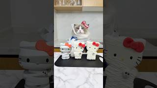 Download lagu Hello Kitty and friends! #thatlittlepuff #hellokitty mp3