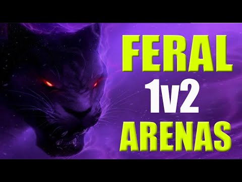 FERAL DRUID 1v2 ARENA Clutches - Dragonflight