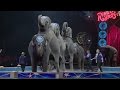 Ringling Bros Ends Iconic Tradition