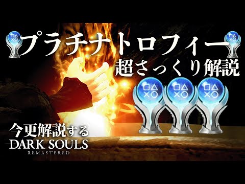 クリソラレンティアについて詳しく解説