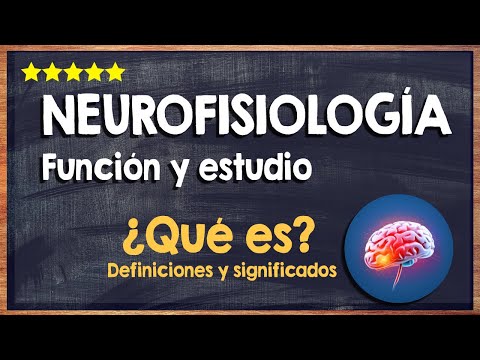 🙏 ¿Qué es la Neurofisiología? - Función y Estudio de la Neurofisiología 🙏