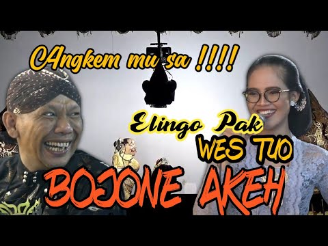 Dalange mumet miker elisha ketularan galak e tatin omongane tambah gilani wkwk lucu pooolllll