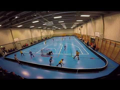 2018-03 Kuopio: Welhot-007 Pallosalamat - LeBa Hearts 8-2 voitto