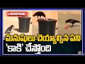 Crow Collects Garbage Throws Dustbin Video Viral 10TV Specials