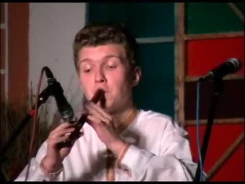 Небојша Брдарић -Виорино коло