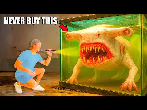 Ich habe die furchterregendsten Seeungeheuer im Internet gekauft …