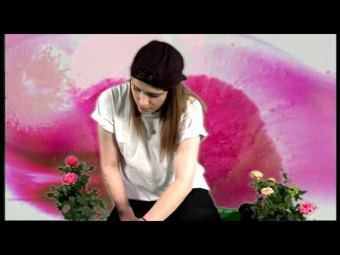 Eleonor Coco - Bring U Back (Official Video)