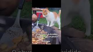 Isso é  IA neh gente? 😂😂😂 #ia #engraçado #furyou #explorar #reels #gatos #cat #animals #humor #fyps