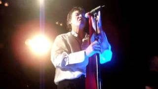 The Angels 09 Dogs Are Talking