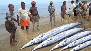 People Chanting & Fishing | Amazing Fish Catching Process | Kovalam Beach Kerala India