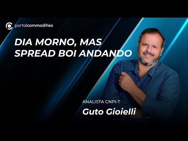 Mercado sem movimentos significativo