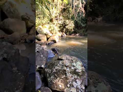 Cachoeira Recreio - Bocajá MS
