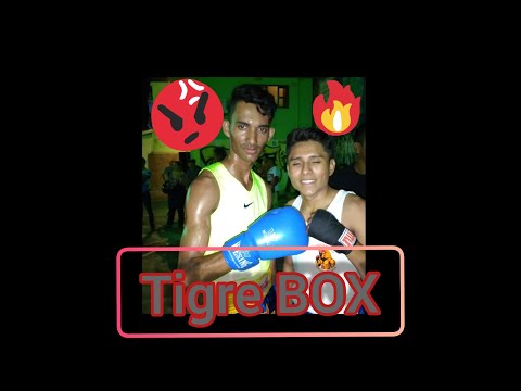 PELEA DE BOXEO 2020 (VIDEO OFICIAL)