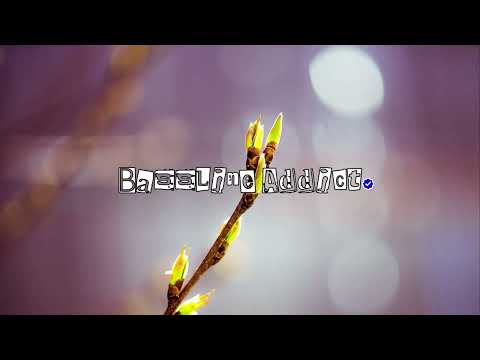 DJ Veteran Vs.  Zibba - DJ Dubplate│BasslineAddict