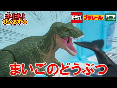 【公式】びーくるずー「まいごのどうぶつ」【トミカ・プラレール・アニア】