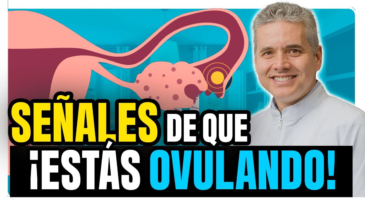 ¿Cómo Saber Si Estás Ovulando? Síntomas Y Tips Para Aprovecharlo - Juan Luis Giraldo