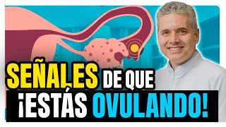 ¿Cómo Saber Si Estás Ovulando? Síntomas Y Tips Para Aprovecharlo - Juan Luis Giraldo