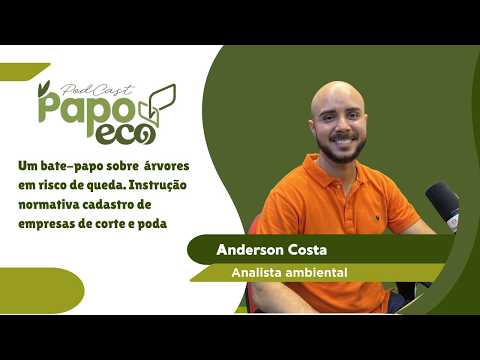 Poda de Árvores em Teresina: Quando Pode? O Que Diz a Lei e os Riscos Ambientais | Papo Eco