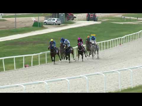 2018.04.15. 5. futam - IGAZGATÓSÁGI DÍJ (Elit kat.) (szintetikus pálya)