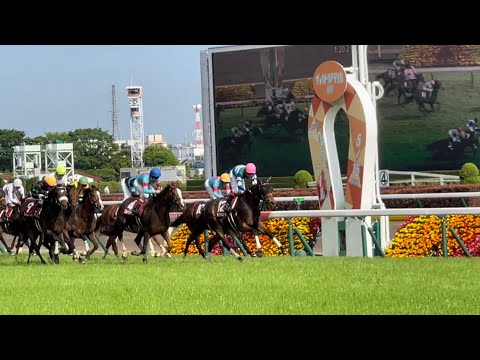 【現地映像】メイケイエール 京王杯SC 最後の直線 2022/5/14